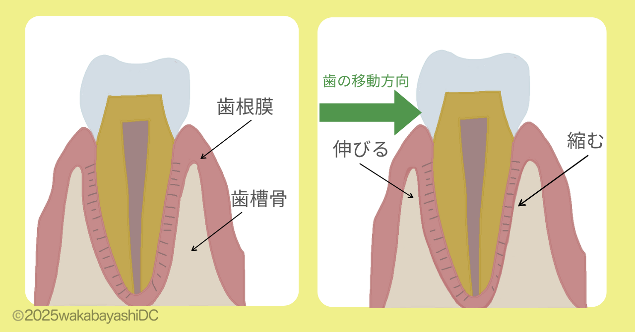 仕組み