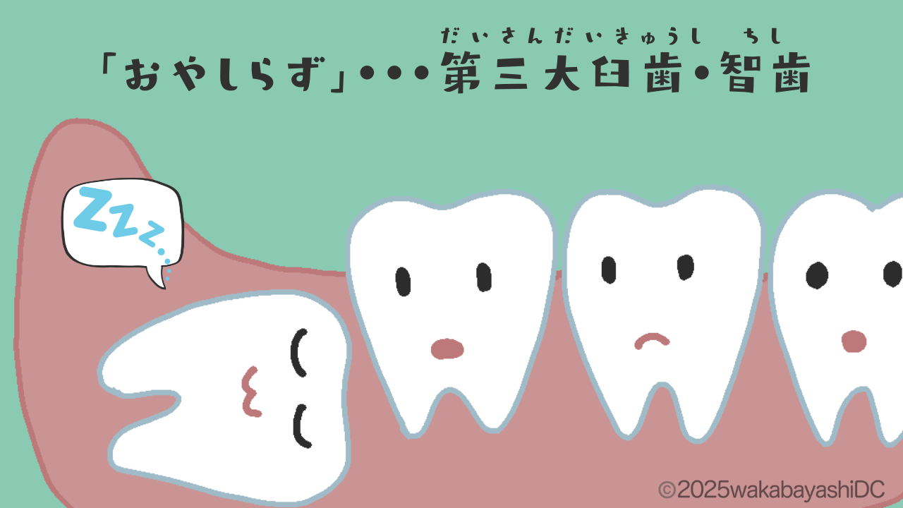 親知らずとは