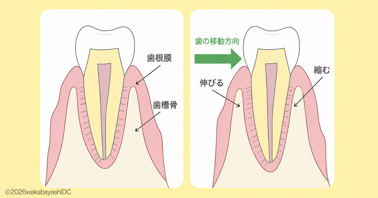 インビザラインの仕組み
