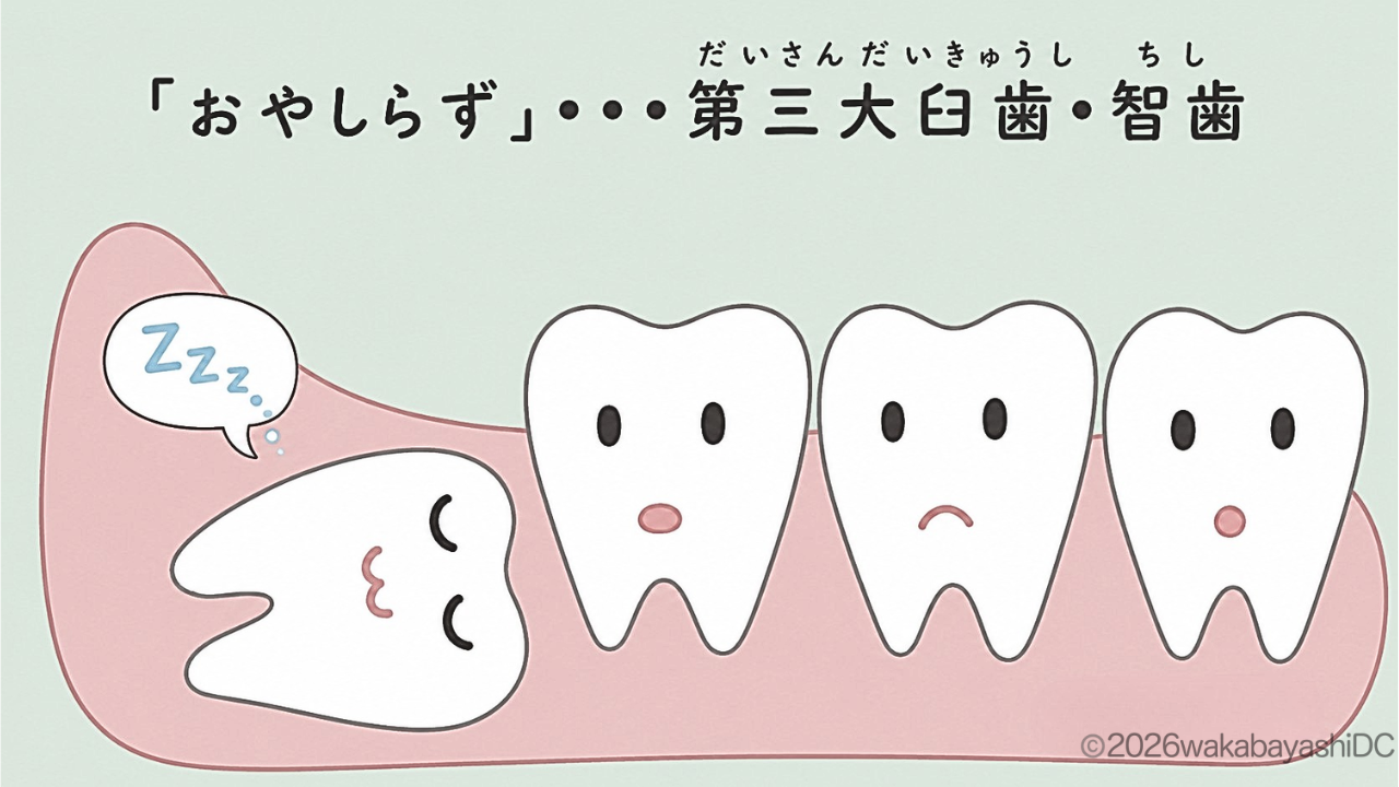 親知らず