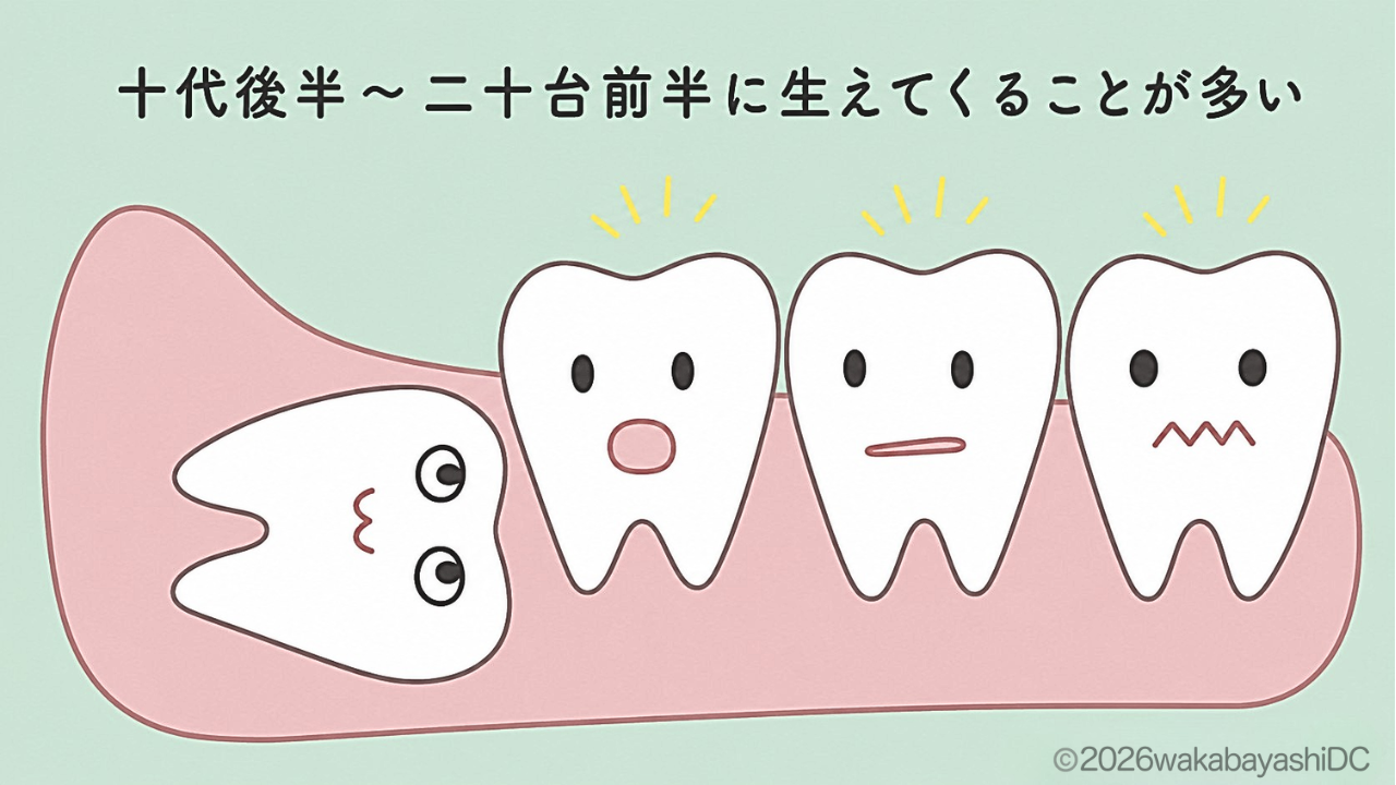 親知らず