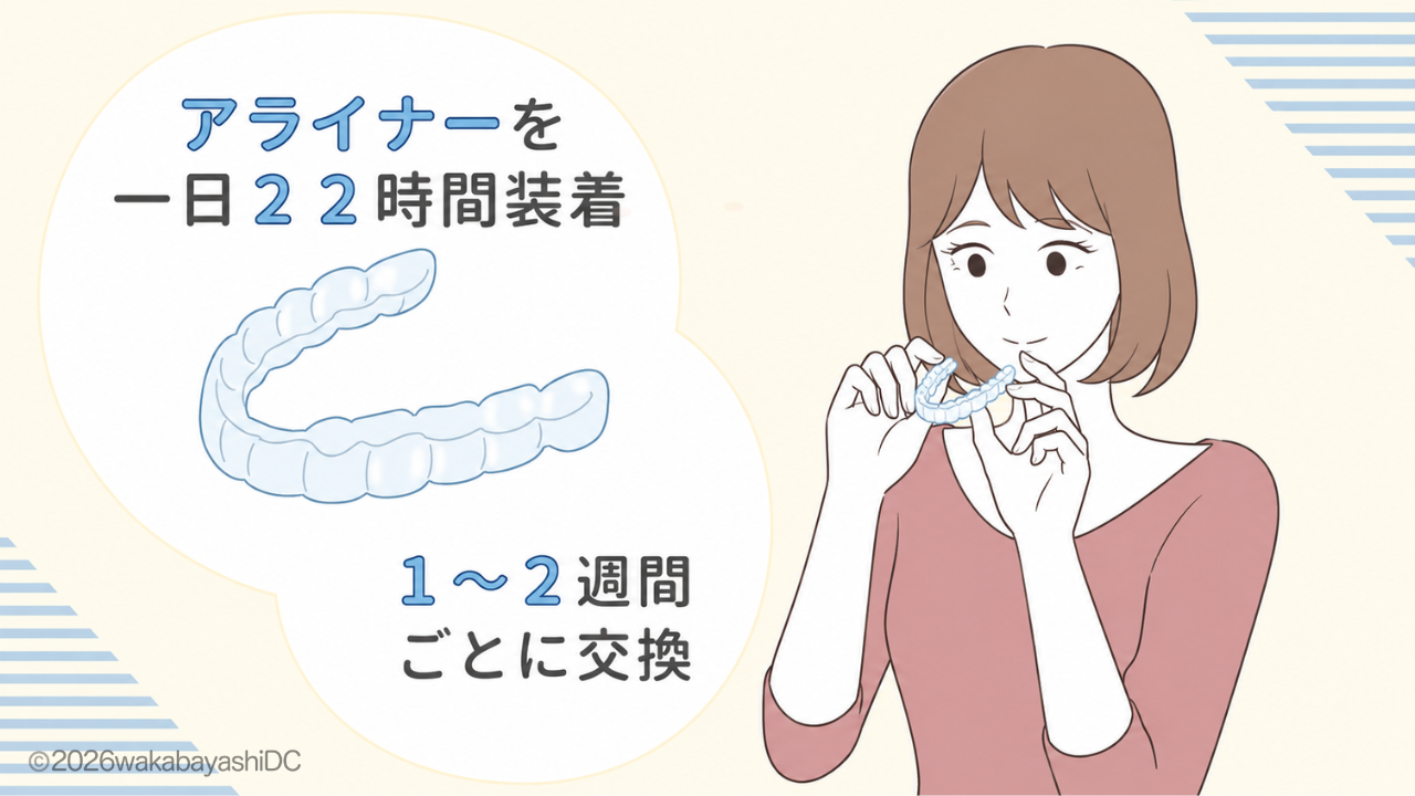 インビザラインで歯が動く仕組み