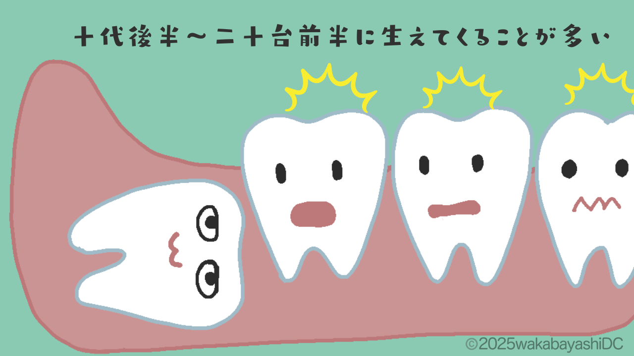 親知らずが生えてくる時期